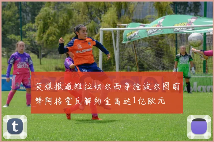 英媒报道维拉切尔西争抢波尔图前锋阿格霍瓦解约金高达1亿欧元