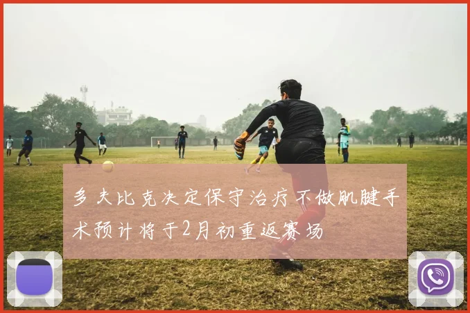 多夫比克决定保守治疗不做肌腱手术预计将于2月初重返赛场