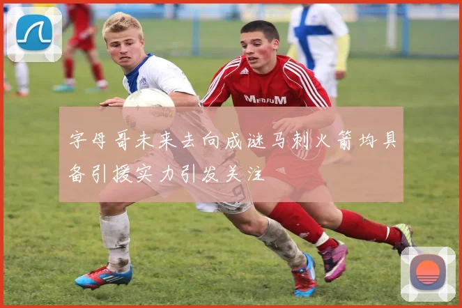 字母哥未来去向成谜马刺火箭均具备引援实力引发关注