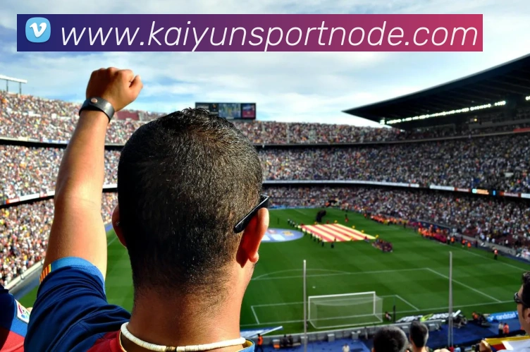 多媒体互动体验